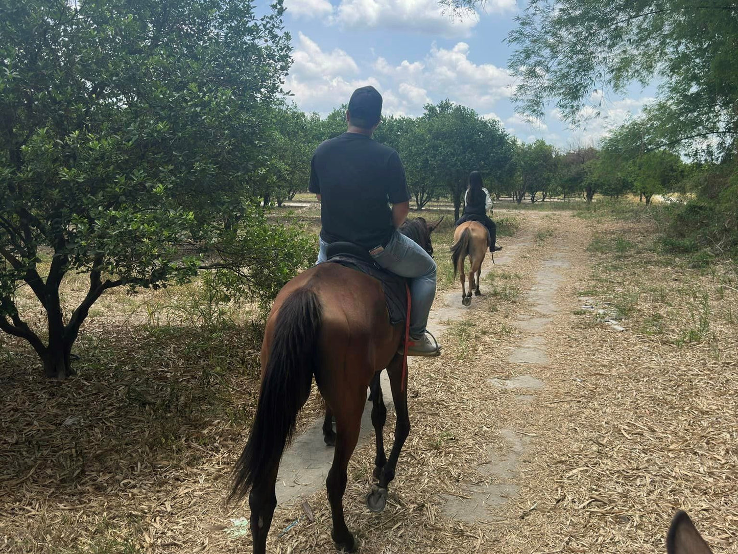 El Kabayo Trail Ride