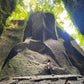 Clark Explore and Swim Adventure Tour - Mapako Enkantadya and Ana-an Falls Private Group Tour Package