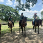 El Kabayo Trail Ride