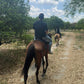 El Kabayo Trail Ride