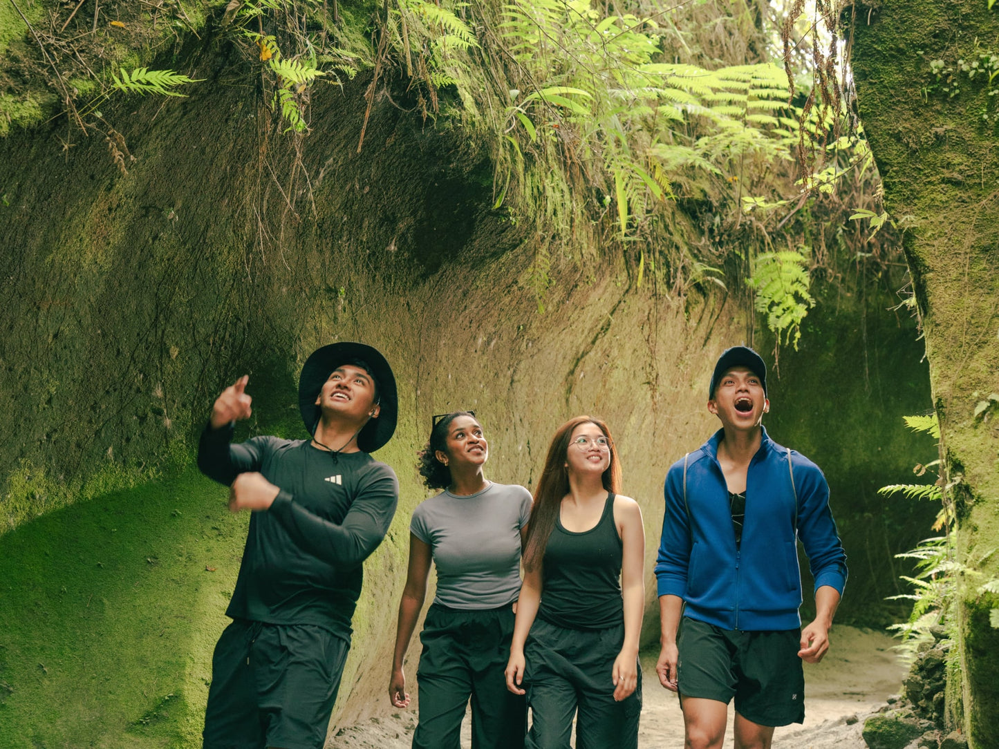 Hẻm núi & Suối Clark - Hẻm núi Avatar và Suối nước nóng Eden Tour nhóm riêng