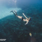 Moalboal + Canyoneering